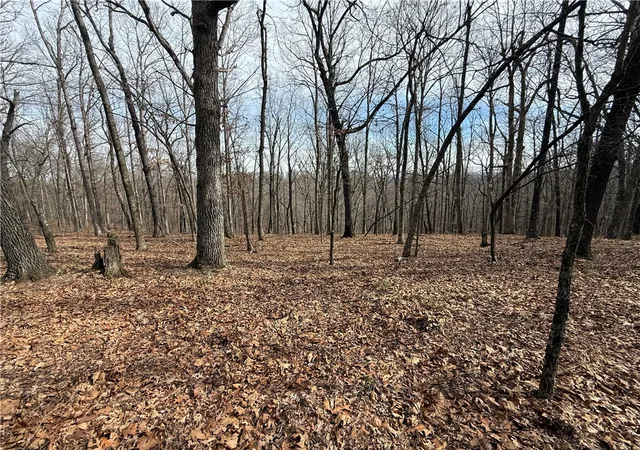 Homes for sale in Eureka Springs, AR | Tract 3 Cardinal Ridge Rd, Eureka Springs, AR 72632 | MLS# 1335088