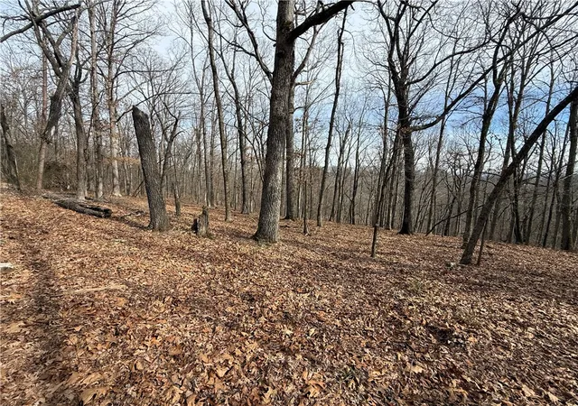 Homes for sale in Eureka Springs, AR | Tract 3 Cardinal Ridge Rd, Eureka Springs, AR 72632 | MLS# 1335088