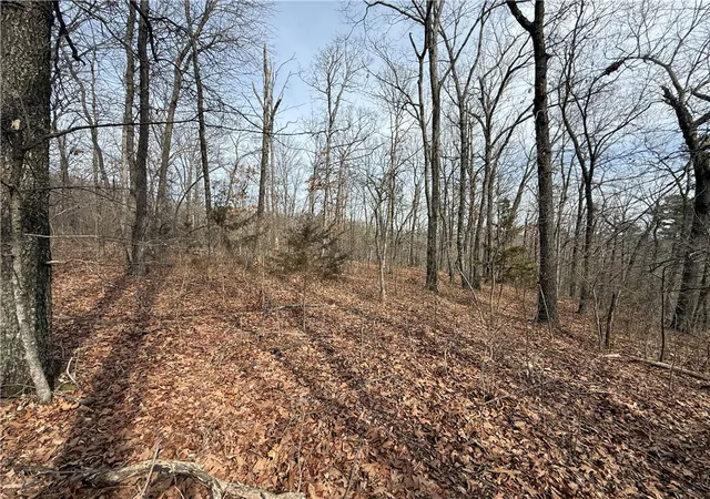 Homes for sale in Eureka Springs, AR | Tract 4 Cardinal Ridge Rd, Eureka Springs, AR 72632 | MLS# 1335093