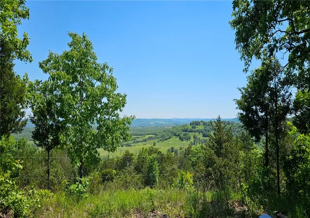 Homes for sale in Omaha, AR | 21133 Stonington Rd, Omaha, AR 72662 | MLS# 1335083