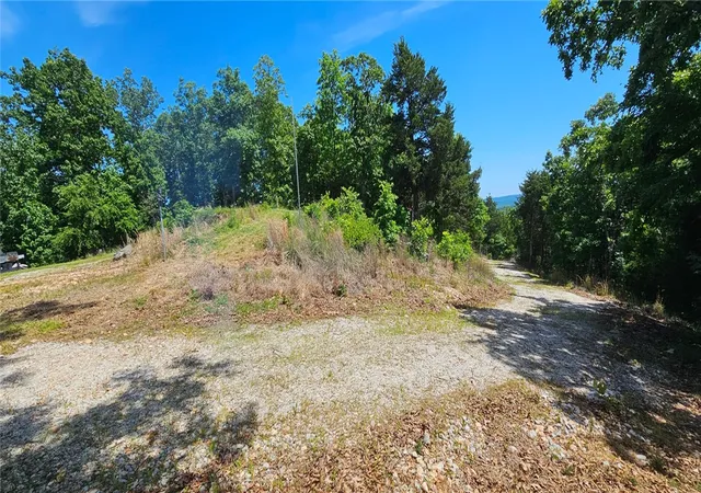 Homes for sale in Omaha, AR | 21133 Stonington Rd, Omaha, AR 72662 | MLS# 1335083