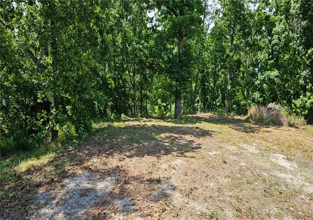 Homes for sale in Omaha, AR | 21133 Stonington Rd, Omaha, AR 72662 | MLS# 1335083