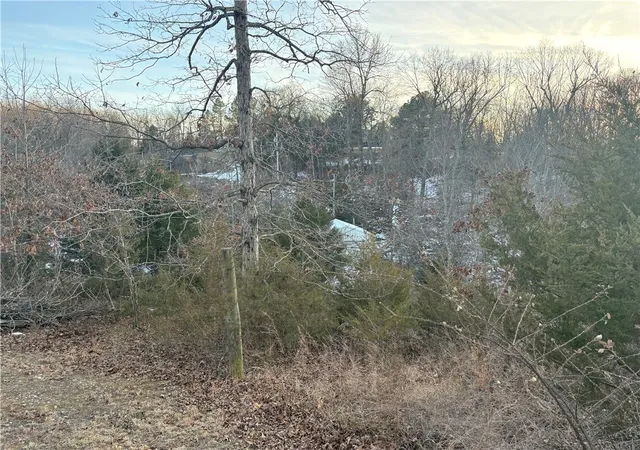 20th image of 4931 Salles Dr, Harrison, AR 72601 | MLS# 1335180