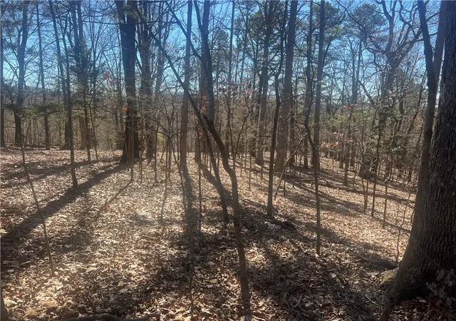 11th image of Cr 152, Eureka Springs, AR 72362 | MLS# 1335169