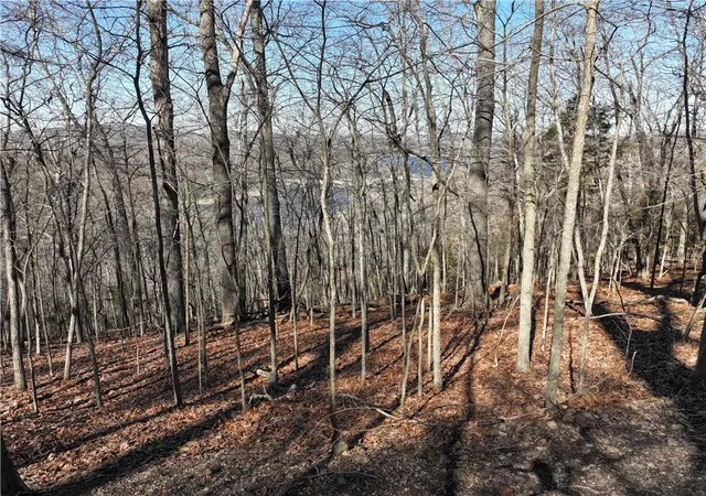 4th image of E Center Rd, Eureka Springs, AR 72631 | MLS# 1335166