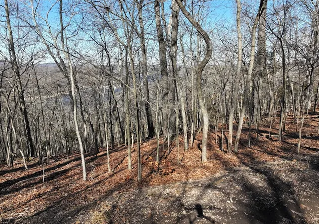 Homes for sale in Eureka Springs, AR | E Center Rd, Eureka Springs, AR 72631 | MLS# 1335166