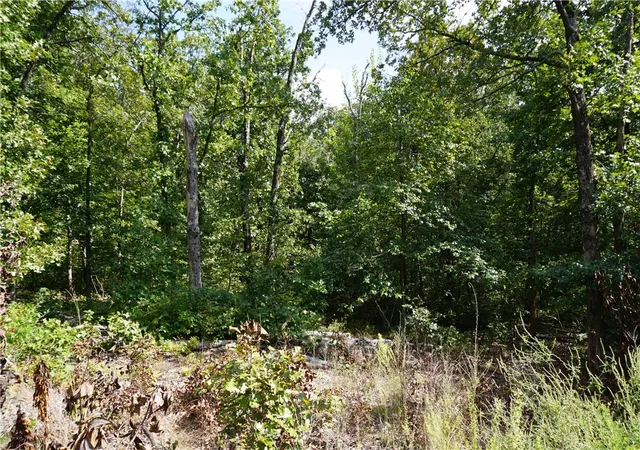 Homes for sale in Bella Vista, AR | York Dr, Bella Vista, AR 72714 | MLS# 1335367