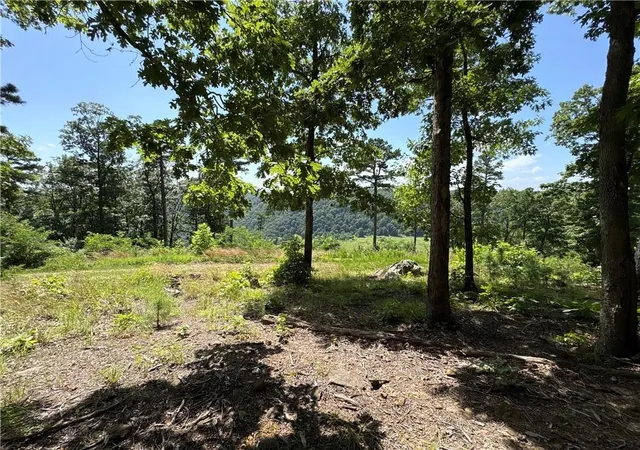 Homes for sale in Jasper, AR | 556 Nc 6077, Jasper, AR 72641 | MLS# 1335378