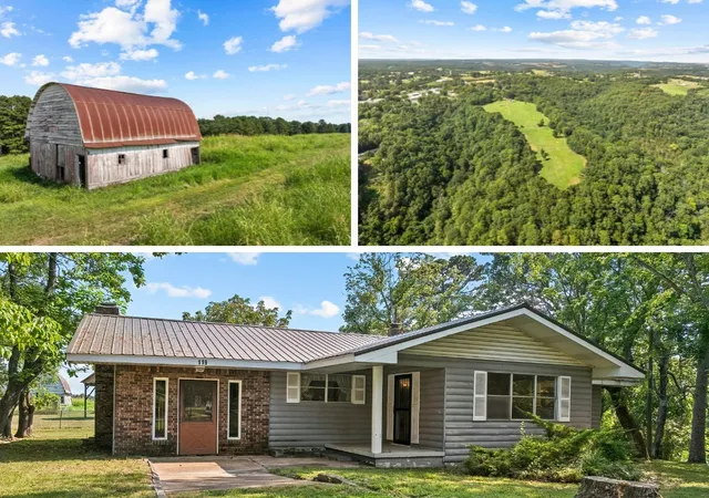 Homes for sale in Omaha, AR | 119 Walnut Ln, Omaha, AR 72662 | MLS# 1335353
