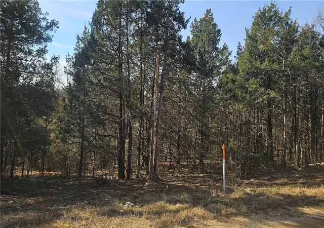1st image of E Mockingbird Trl, Diamond City, AR 72630 | MLS# 1335592