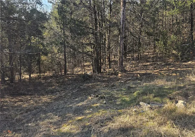 2nd image of E Mockingbird Trl, Diamond City, AR 72630 | MLS# 1335592