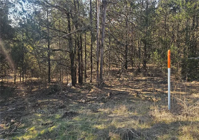 3rd image of E Mockingbird Trl, Diamond City, AR 72630 | MLS# 1335592