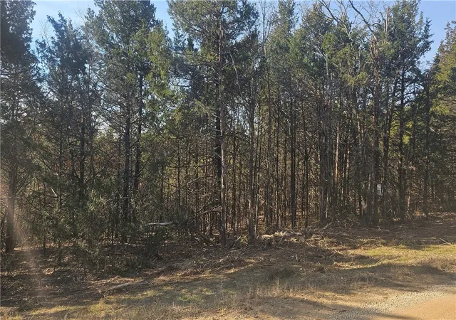 4th image of E Mockingbird Trl, Diamond City, AR 72630 | MLS# 1335592