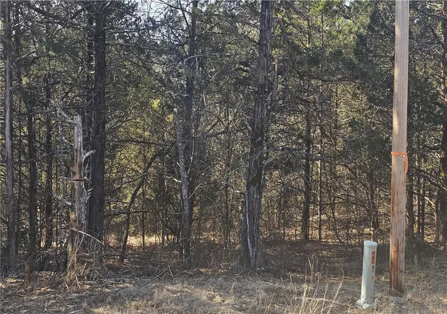 5th image of E Mockingbird Trl, Diamond City, AR 72630 | MLS# 1335592