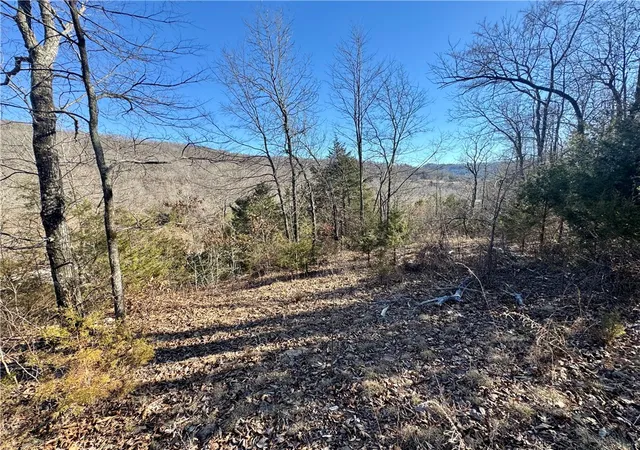 3rd image of Hazel Valley Rd, Fayetteville, AR 72701 | MLS# 1335770