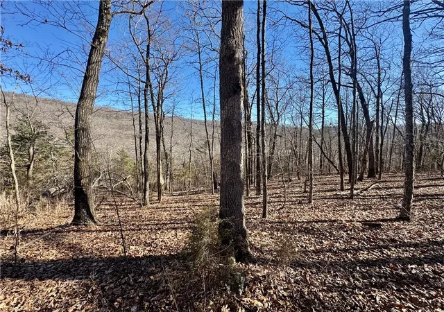5th image of Hazel Valley Rd, Fayetteville, AR 72701 | MLS# 1335770