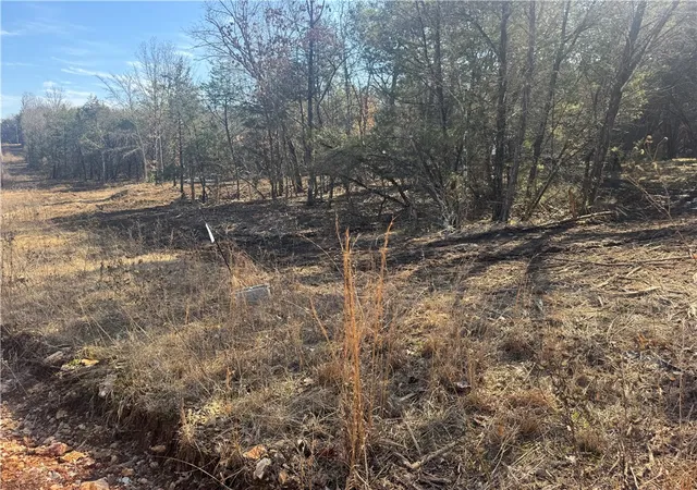 1st image of Tbd 243 Acres County Rd 3271, Berryville, AR 72616 | MLS# 1335889