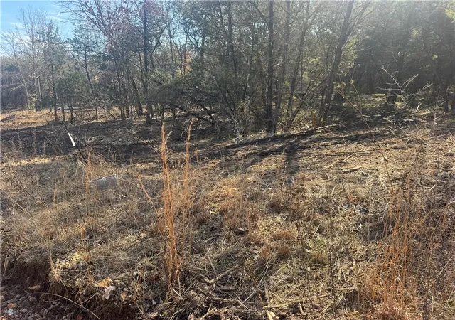 2nd image of Tbd 243 Acres County Rd 3271, Berryville, AR 72616 | MLS# 1335889