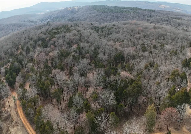 Homes for sale in Cedarville, AR | Dry Hill Loop Rd, Cedarville, AR 72932 | MLS# 1335254