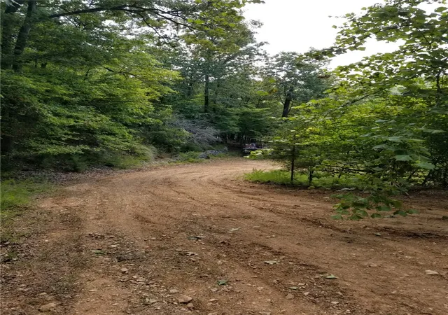 Homes for sale in Eureka Springs, AR | 236 County Road 1089, Eureka Springs, AR 72632 | MLS# 1336160