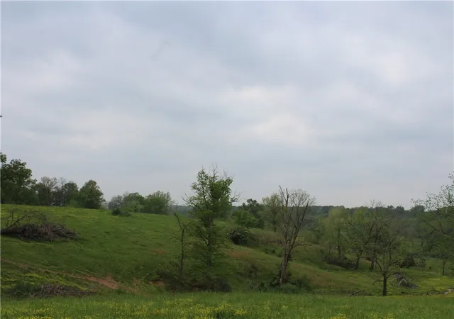 Photo 3 of Land for sale at 2482 Rocky Comfort Rd, Gentry, AR 72734 | MLS# 1336225 | Listing updated on 2026-02-17