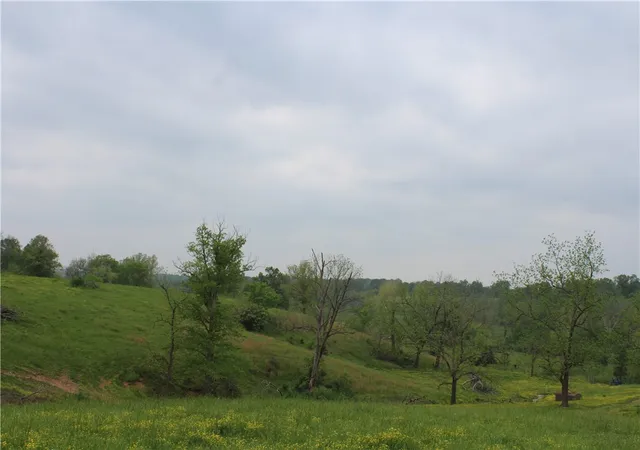 Photo 3 of Land for sale at 2482 Rocky Comfort Rd, Gentry, AR 72734 | MLS# 1336225 | Listing updated on 2026-02-17