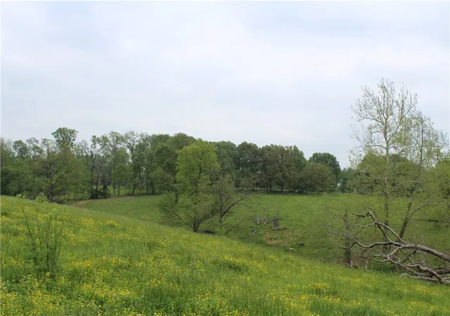 Photo 4 of Land for sale at 2482 Rocky Comfort Rd, Gentry, AR 72734 | MLS# 1336225 | Listing updated on 2026-02-17