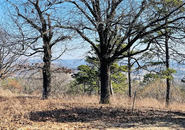 3rd image of Cr-3091, Eureka Springs, AR 72632 | MLS# 1336246