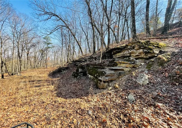 4th image of Cr-3091, Eureka Springs, AR 72632 | MLS# 1336246