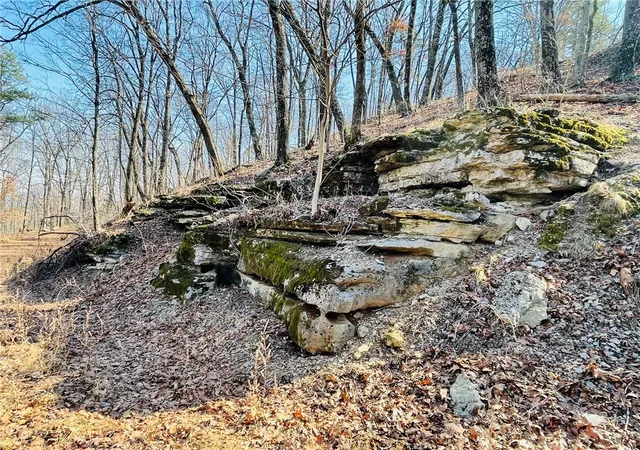 5th image of Cr-3091, Eureka Springs, AR 72632 | MLS# 1336246