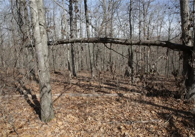 image of Lot 2 Jimmy Ln, Bella Vista, AR 72715 | MLS# 1336098