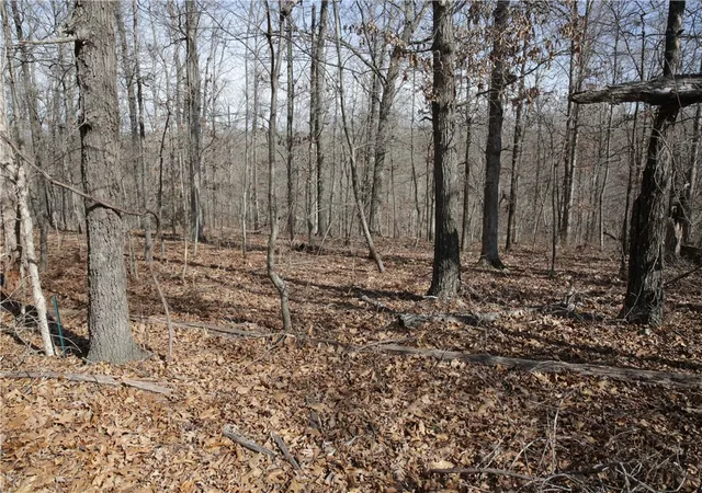 image of Lot 2 Jimmy Ln, Bella Vista, AR 72715 | MLS# 1336098