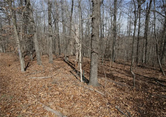 image of Lot 2 Jimmy Ln, Bella Vista, AR 72715 | MLS# 1336098