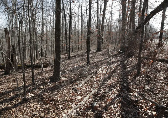 image of Lot 2 Jimmy Ln, Bella Vista, AR 72715 | MLS# 1336098