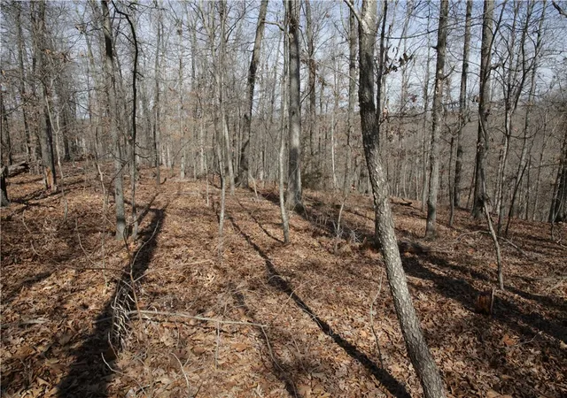 image of Lot 2 Jimmy Ln, Bella Vista, AR 72715 | MLS# 1336098