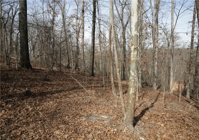 1st image of Lot 11 Kirkpatrick Wy, Bella Vista, AR 72715 | MLS# 1336096