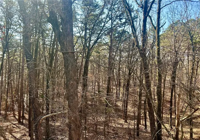2nd image of High Point Trl, Clarksville, AR 72830 | MLS# 1336202