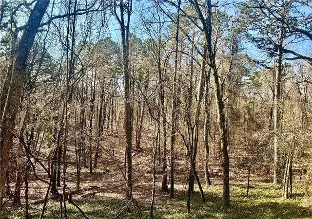 3rd image of High Point Trl, Clarksville, AR 72830 | MLS# 1336202