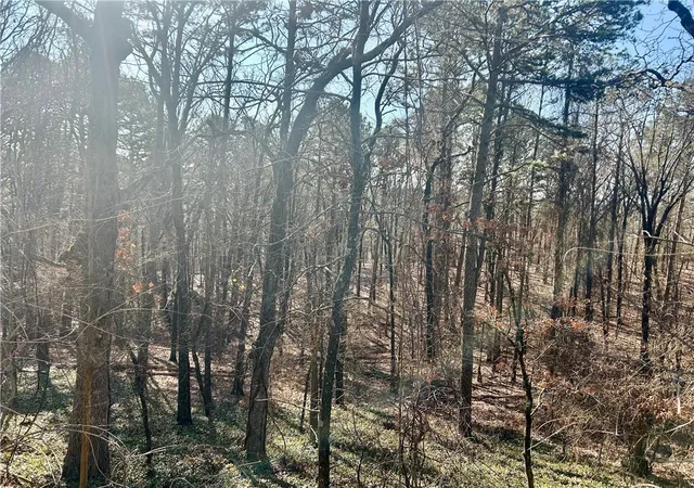 4th image of High Point Trl, Clarksville, AR 72830 | MLS# 1336202