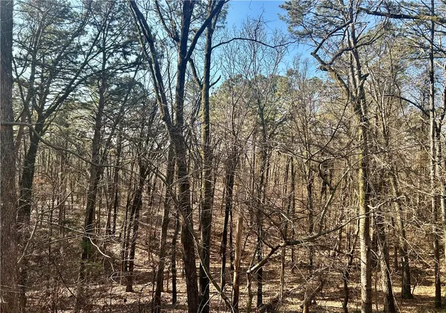 5th image of High Point Trl, Clarksville, AR 72830 | MLS# 1336202