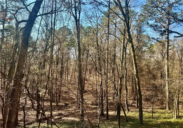 6th image of High Point Trl, Clarksville, AR 72830 | MLS# 1336202