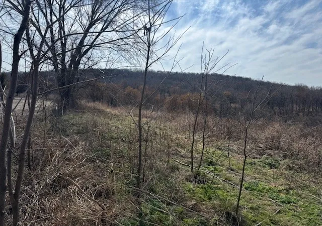 3rd image of 13243 Nicewarner Rd, Lincoln, AR 72744 | MLS# 1336673