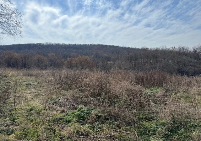 4th image of 13243 Nicewarner Rd, Lincoln, AR 72744 | MLS# 1336673