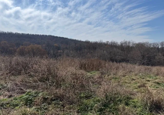5th image of 13243 Nicewarner Rd, Lincoln, AR 72744 | MLS# 1336673