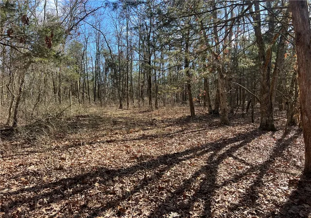 20th image of County Rd 972, Alpena, AR 72611 | MLS# 1336707