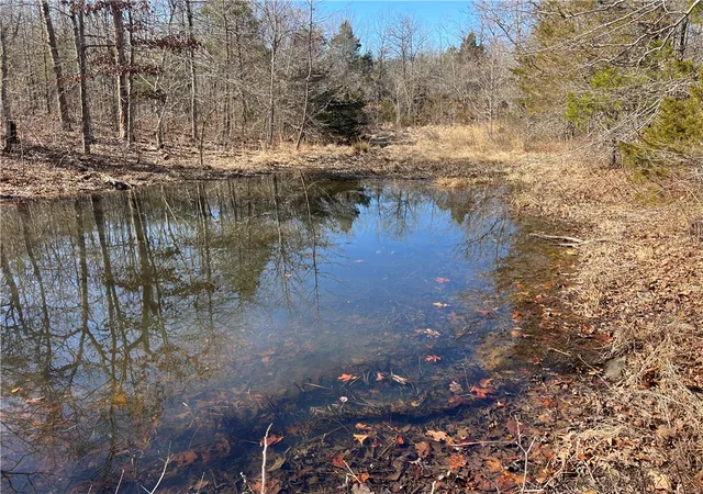 3rd image of County Rd 972, Alpena, AR 72611 | MLS# 1336707