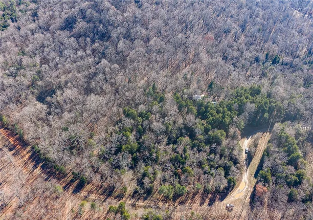 55th image of 22982 Liberty Trl, Natural Dam, AR 72948 | MLS# 1337155