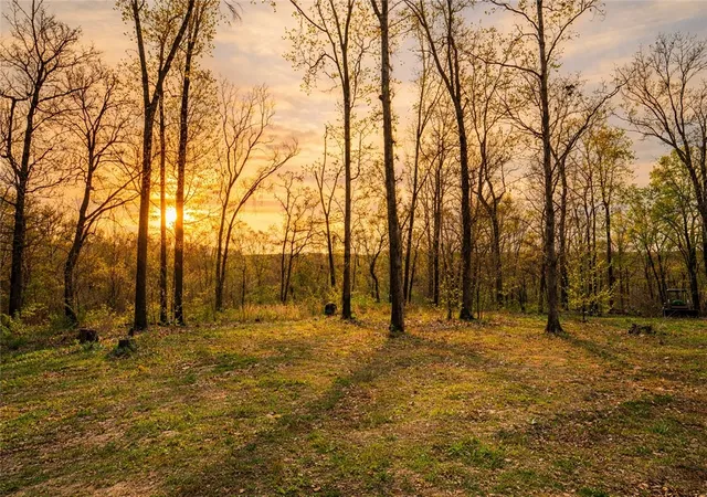 4th image of 21722 Sibley Rd, Sulphur Springs, AR 72768 | MLS# 1337555