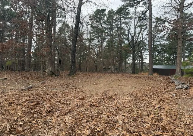 3rd image of 486 Mc 2084, Peel, AR 72668 | MLS# 1337864