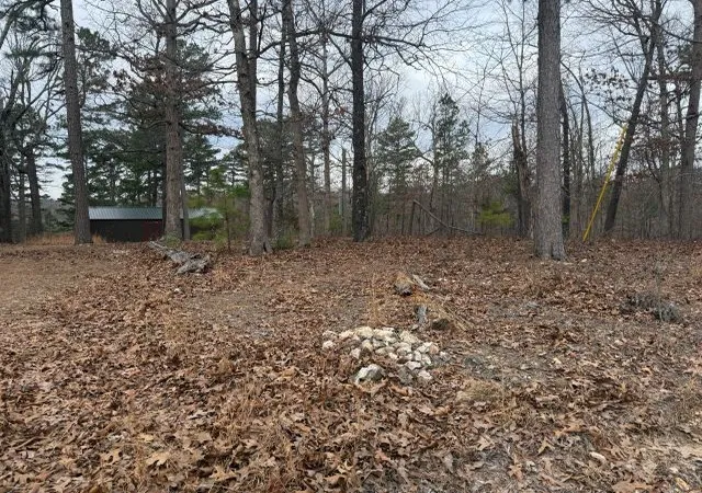 4th image of 486 Mc 2084, Peel, AR 72668 | MLS# 1337864